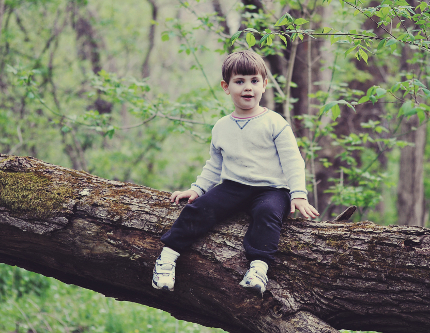 Little Boy in the Woods